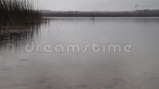 秋天雨天的湖景视频