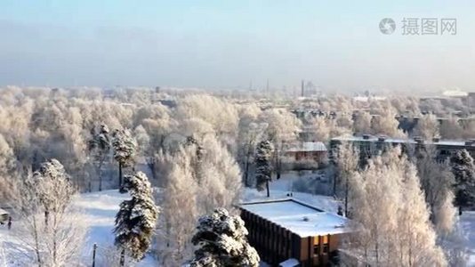 白霜覆盖着树木。 城冬晨全景..视频