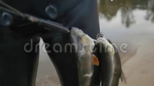 长矛渔民展示了水下渔民在森林河狩猎后带上的淡水鱼视频