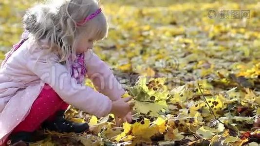 快乐的女孩在玩黄色的秋天枫叶。视频