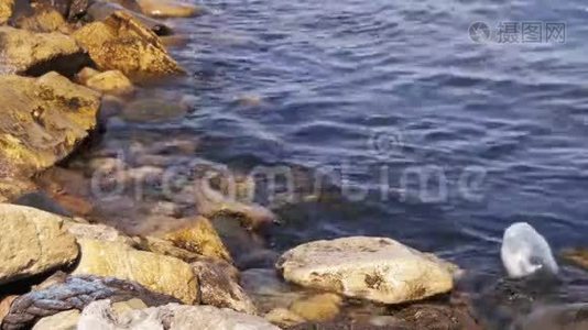 巴库河岸石头附近里海的垃圾漂浮物视频