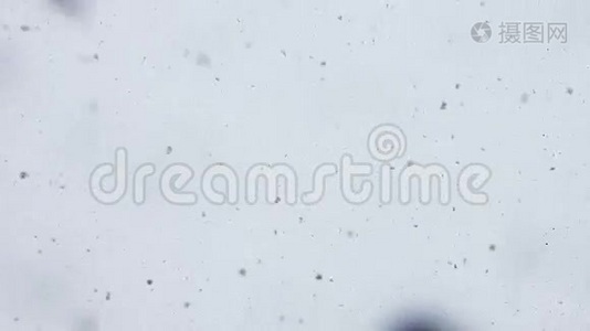 落在镜头上的雪视频