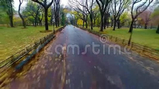 秋季中央公园文艺漫步视频