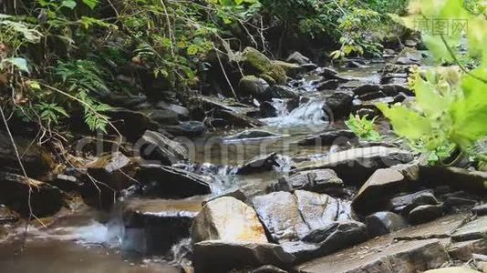 森林溪流流过苔藓的岩石。视频