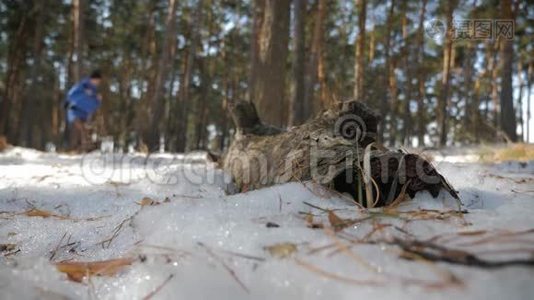 徒步旅行者背着背包走在覆盖着深深雪的松林里。 冬季活动和娱乐理念。视频