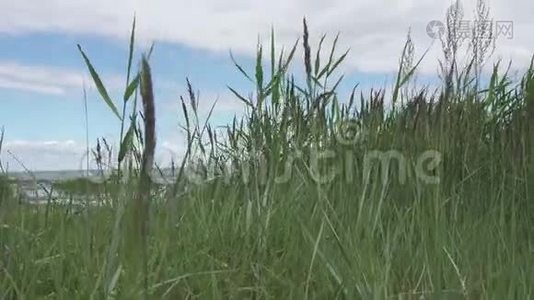 阳光明媚的夏日，芬兰湾石质海岸全景视频