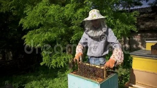 养蜂人从蜂巢里轻轻抽出蜂巢，看着它。 把蜂蜜细胞表出来视频