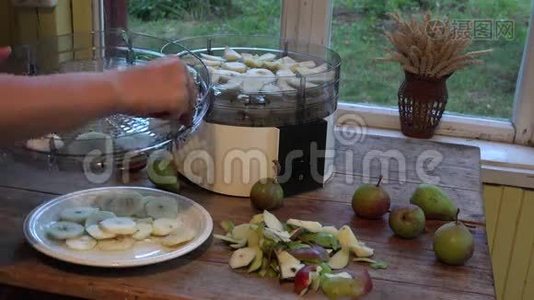 女用手把切好的梨放在水果烘干机里。 特写镜头。 4K视频
