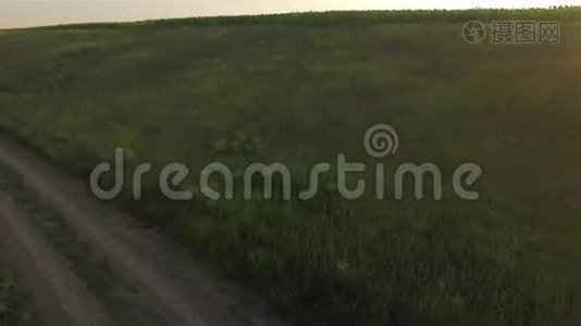 在绿野之间的乡间道路上行驶的汽车的鸟瞰图视频