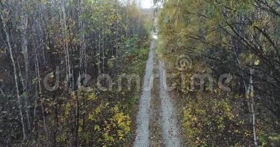 秋路车的天景.. 秋天森林中乡间小路的鸟瞰图.. 森林和公路视频