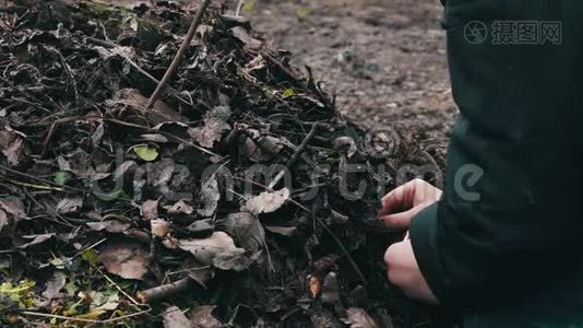 青少年用干燥的老叶子做篝火，污染环境视频
