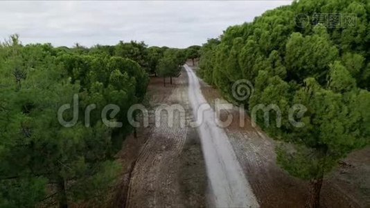 山林碎石路高空拍摄视频