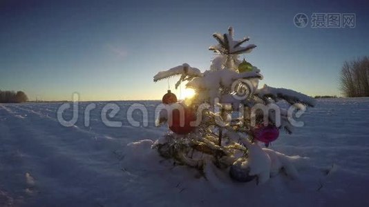 白雪皑皑的新年田野和日出上美丽的圣诞树视频