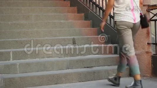 人们和狗下降楼梯视频