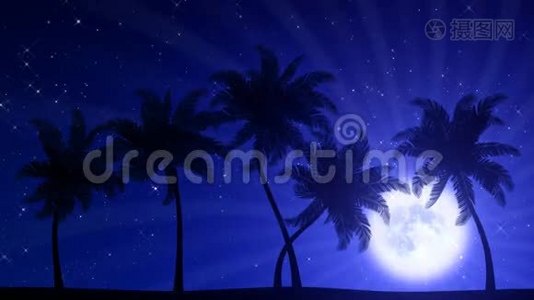 月亮棕榈树（动画高清背景）视频