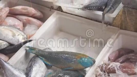 街头市场的新鲜鱼和海鲜视频