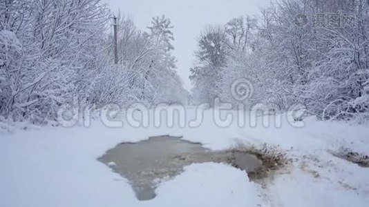 森林公园里下雪。 冰雪覆盖公园的冬季景观。视频