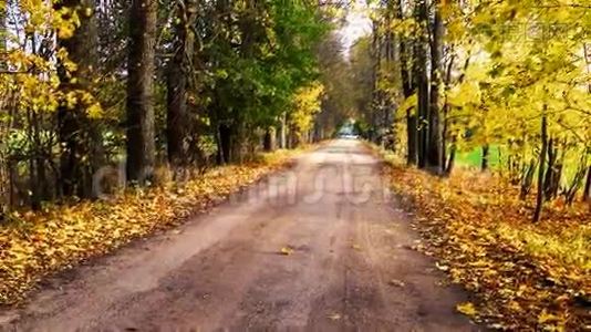 俄罗斯的秋巷有彩色的叶子。视频