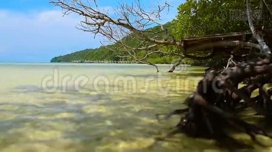 阳光明媚的热带岛屿萨拉森湾海滩景观视频