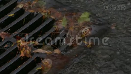 暴雨排水，大雨，慢动作，极度接近视频