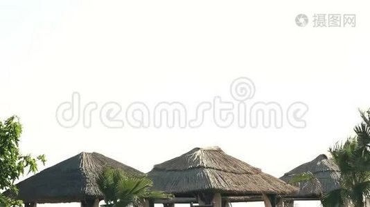 热带岛屿度假游泳池的风日，有棕榈树、阳伞和日光浴，全景视频