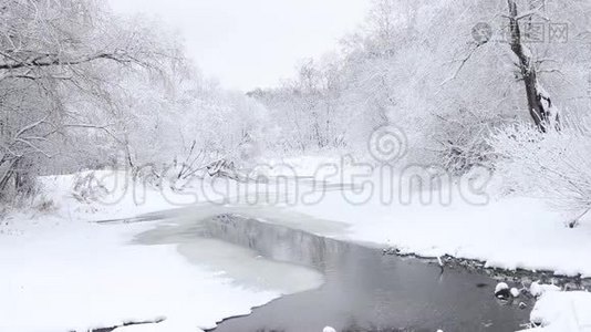 冬天的照片。 冬天的视频自然。 雪景雪中的树木。视频