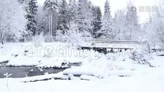 冬天的照片。 冬天的视频自然。 雪景雪中的树木。视频