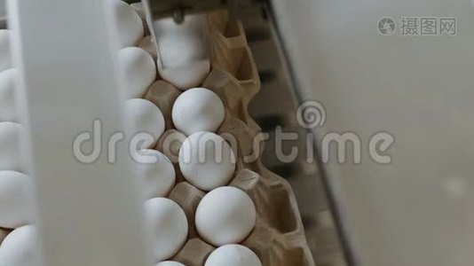 自动化装置在一个小农舍里标记鸡蛋视频