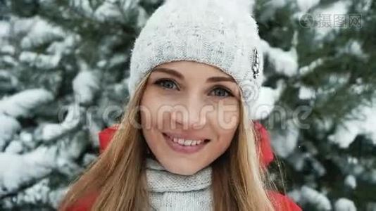 美丽的金发碧眼的金发碧眼正在冬天的景色中微笑视频