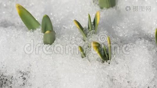 雪融化的时间流逝视频