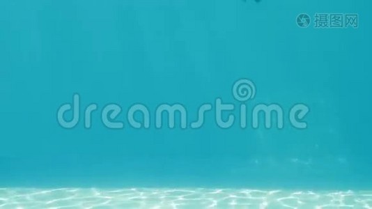 快乐的金发女郎穿着浮潜和海星跳进游泳池视频