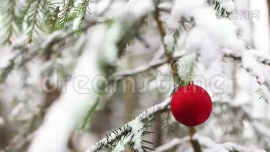 带雪和红色地球仪的圣诞树视频