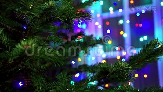 用圣诞彩灯在圣诞树上装饰手工。视频
