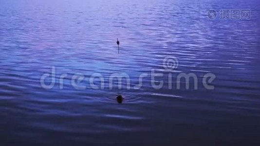 钓鱼漂浮在湖里视频