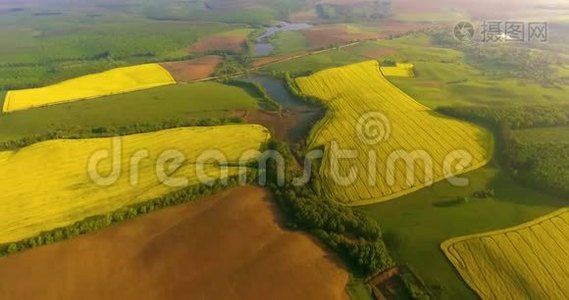 高空俯视春油菜花田盛开美丽的黄花菜花田.. 4k架无人驾驶飞机视频