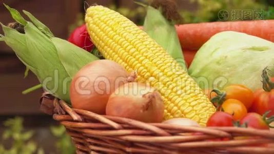 篮子里装满玉米、西红柿、土豆和洋葱的静物视频