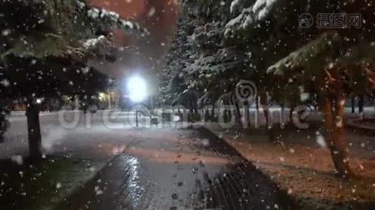 在第一场雪期间在城市公园散步，这是一个美丽的夜晚城市景观视频