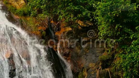 热带国家丛林天堂景观.. 绿色雨林中的瀑布级联.. 从悬崖流出的水流运动视频