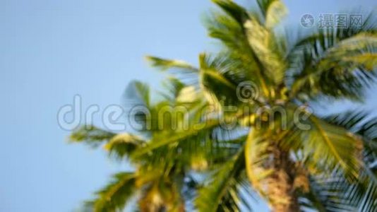 椰子棕榈树冠对蓝色阳光天空透视从地面。视频