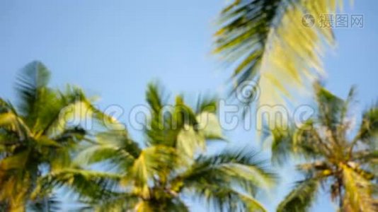 椰子棕榈树冠对蓝色阳光天空透视从地面。视频