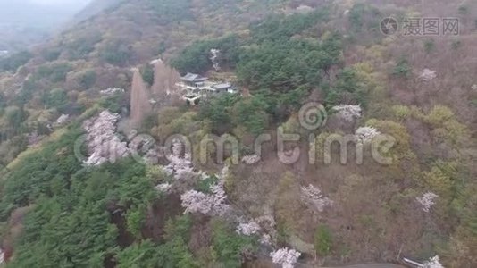 韩国釜山春季北欧沙寺景观视频