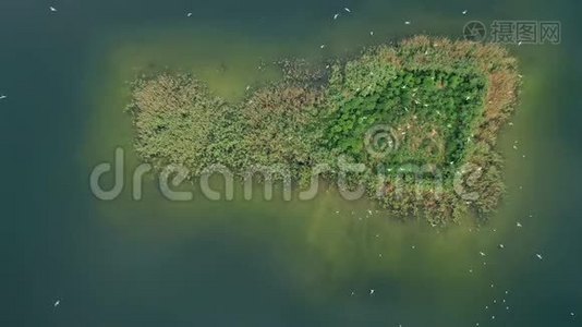 鸟瞰湖面.视频