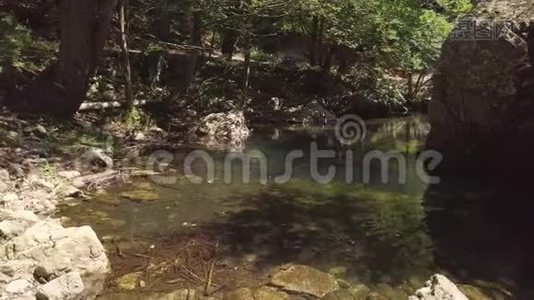 4k空中的石质水流穿过绿色的夏季山林视频