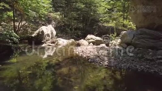 4k空中的石质水流穿过绿色的夏季山林视频