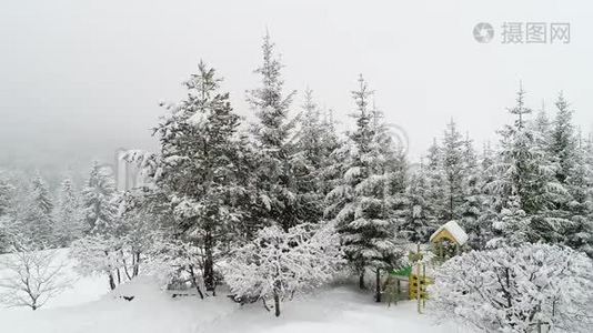 冬季喀尔巴阡山景观，白雪中的圣诞树..视频