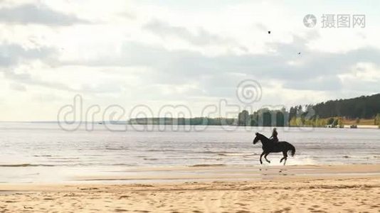 一个年轻漂亮的女孩骑着马在河水中视频