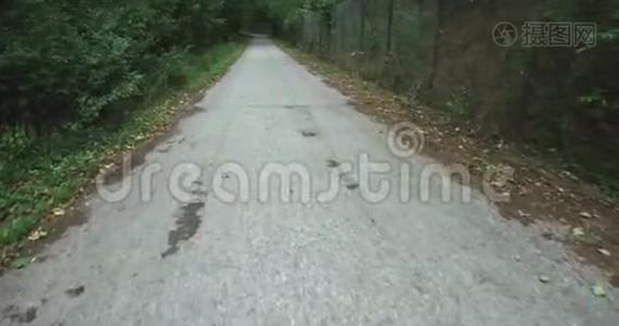 绿树之间的道路德国村庄的绿树，城市的绿地，美丽的自然背景和壁纸视频