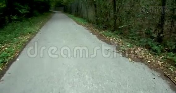 德国村庄绿树之间的道路，绿树成荫，城市绿地，美丽的自然背景和壁纸视频