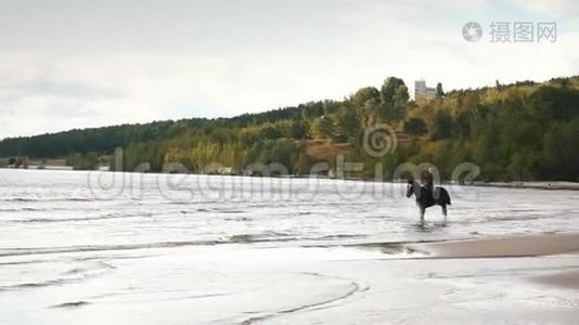 一个年轻漂亮的女孩骑着马在河水中视频