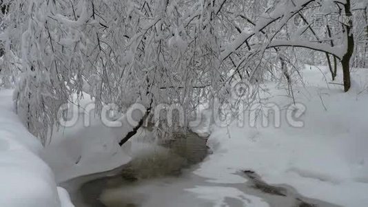 美丽的冬季景观有雪覆盖的树木和冰冻的森林河。视频